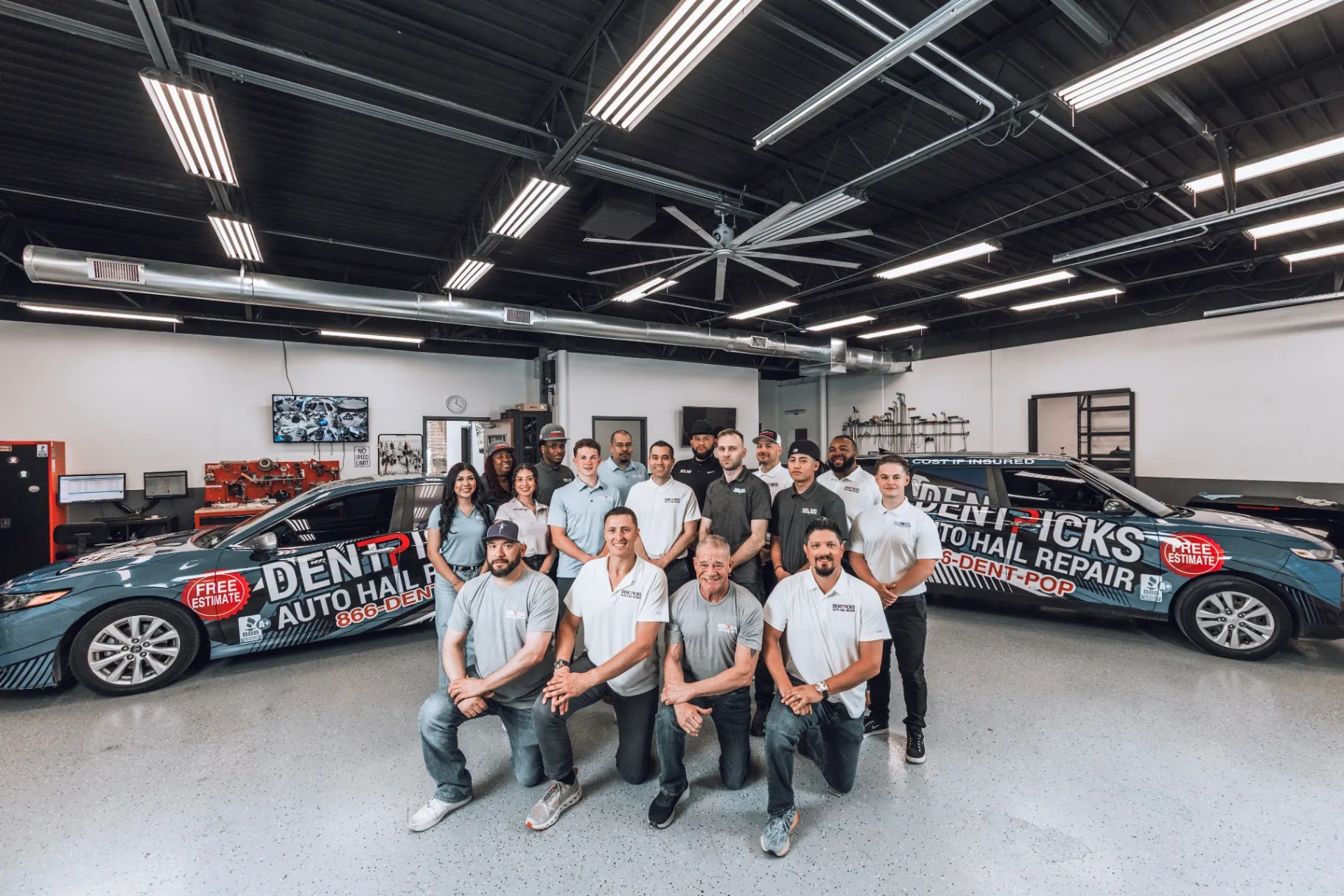 Logo of Dent-Picks