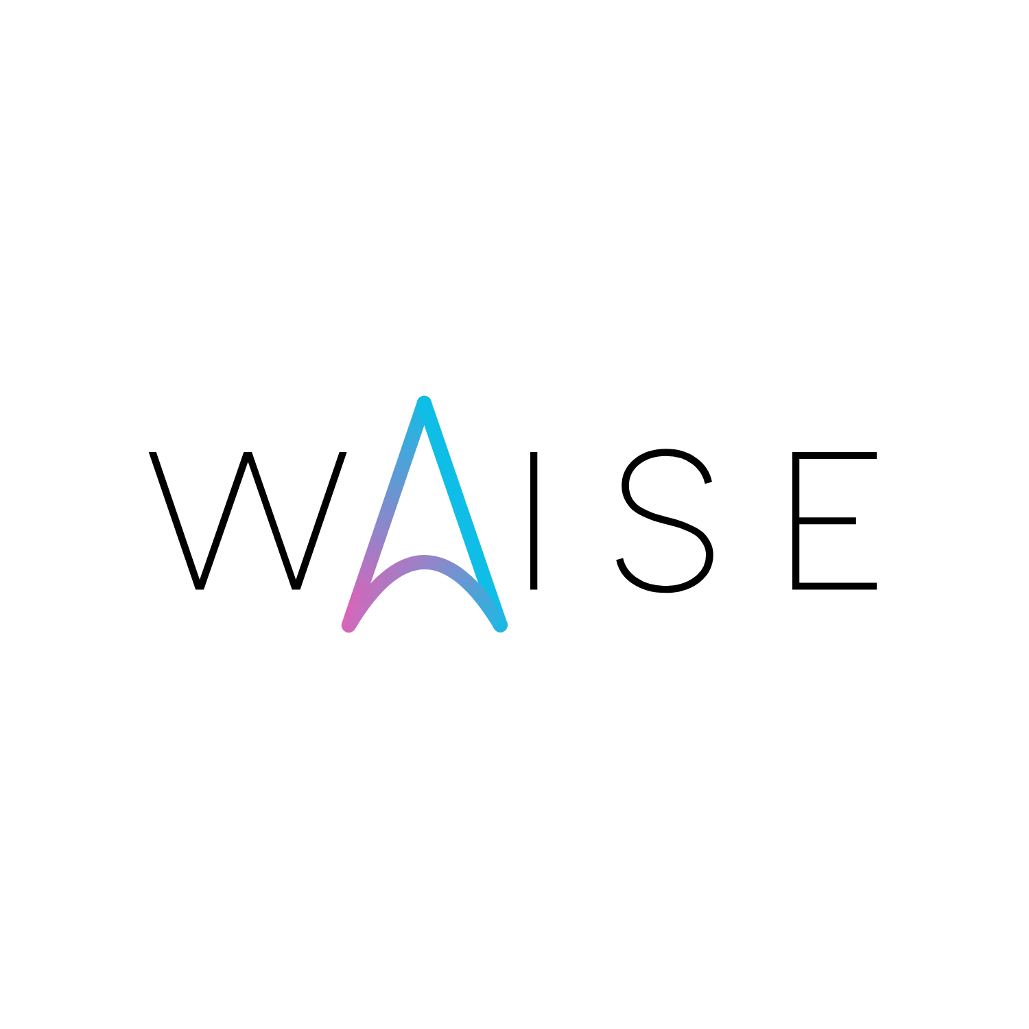 Logo of WAISE